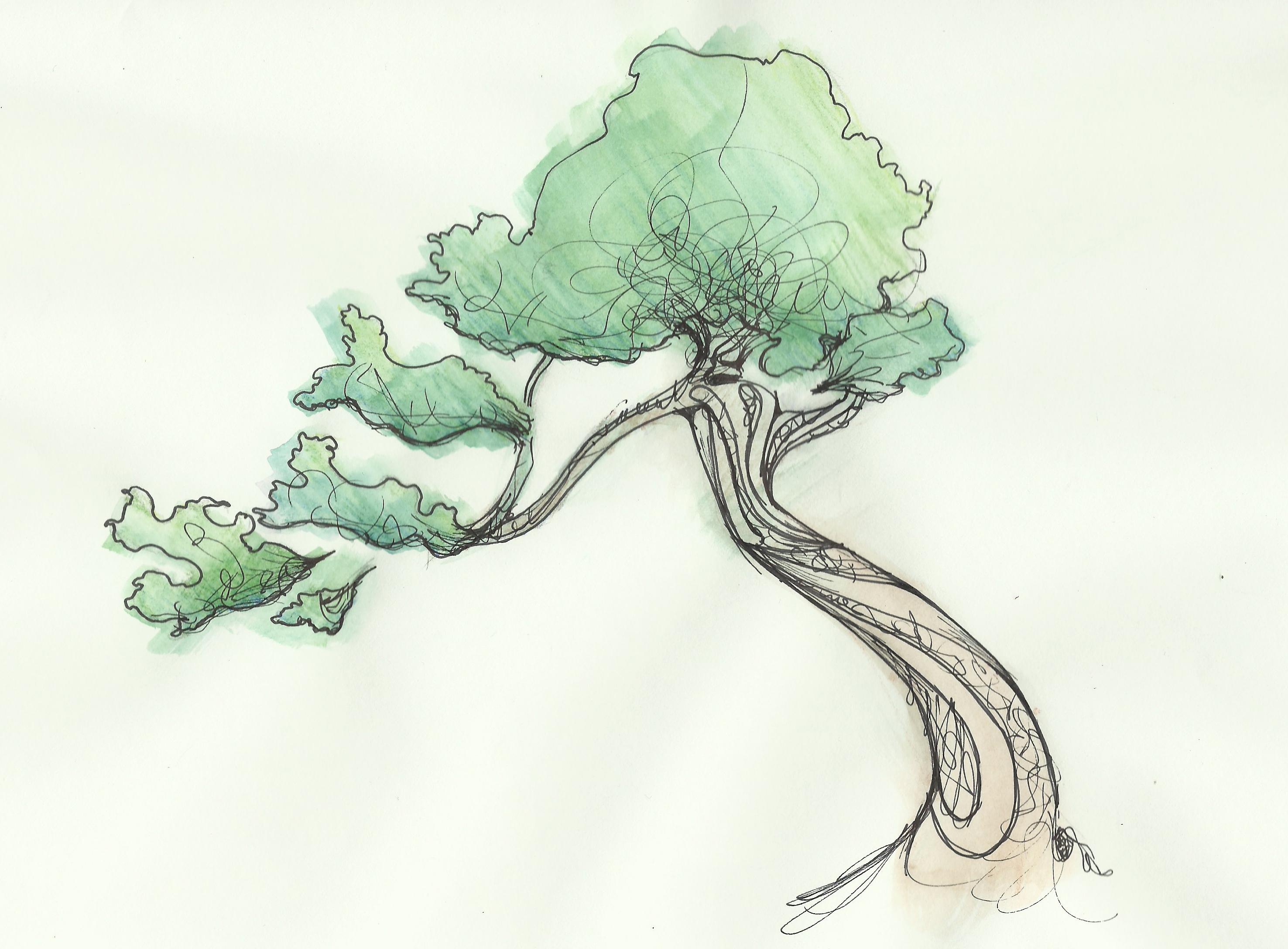 tree sketch clipart - photo #49